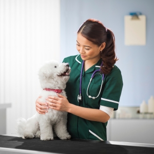 Veterinary packaging products