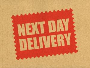 A need for <strong>next day delivery</strong>