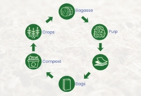 From Agricultural Waste to Clinical Grade: The Science of Tree-Free Paper for  Pharmacy Packaging