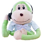 Harry Free Phone Consultation