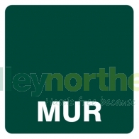 Status™ Medicine Use Review Labels - 36 x 36mm